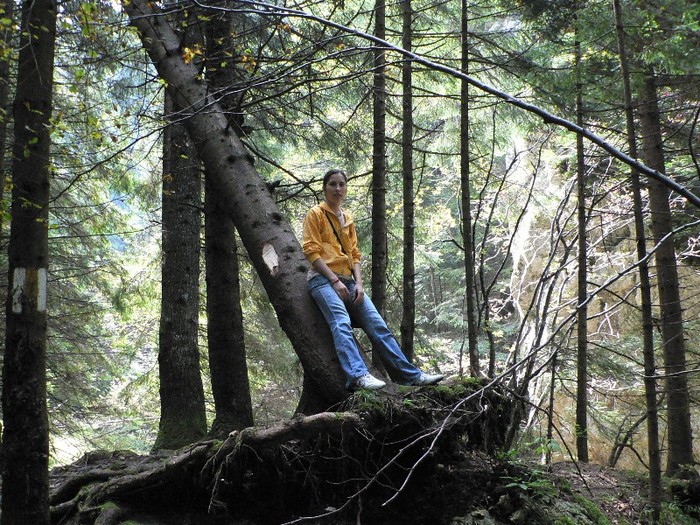 P1130444 - 2010 28 10 Canionul 7scari