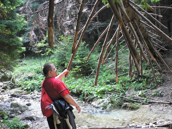 P1130468 - 2010 28 10 Canionul 7scari