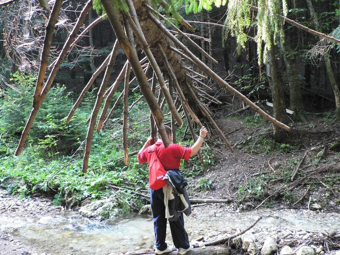 P1130470 - 2010 28 10 Canionul 7scari