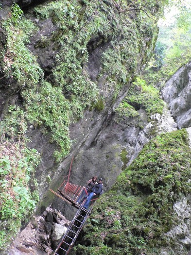 P1130595 - 2010 28 10 Canionul 7scari