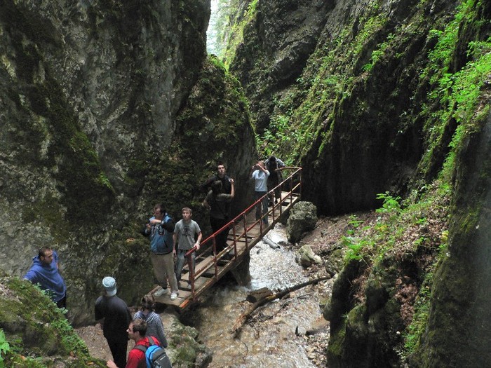 P1130619 - 2010 28 10 Canionul 7scari