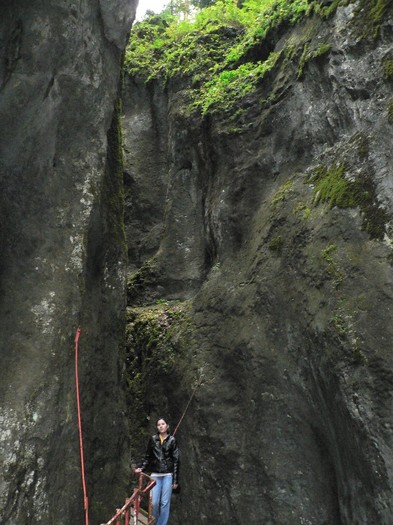 P1130622 - 2010 28 10 Canionul 7scari