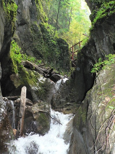 P1130638 - 2010 28 10 Canionul 7scari