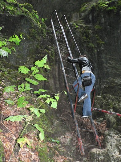 P1130644 - 2010 28 10 Canionul 7scari