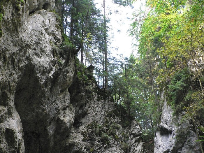 P1130665 - 2010 28 10 Canionul 7scari