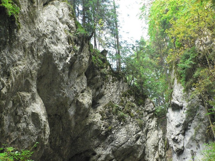 P1130669 - 2010 28 10 Canionul 7scari