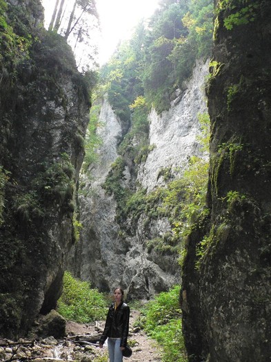 P1130674 - 2010 28 10 Canionul 7scari