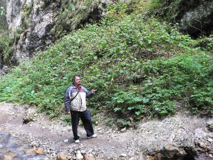 P1130684 - 2010 28 10 Canionul 7scari