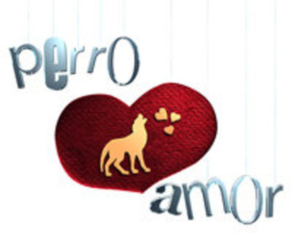 14363_206150734721_158258454721_2799028_2209978_n - Perro amor2010