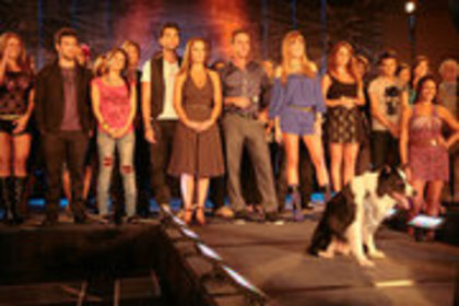 37733_143445779014498_143435935682149_367185_3674583_a