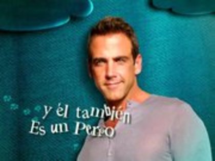 38945_143443789014697_143435935682149_367157_916189_a