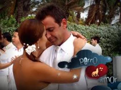 images (38) - Perro amor2010