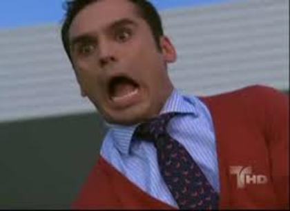 images (55) - Perro amor2010