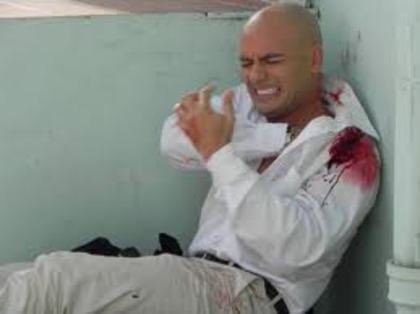 images (83) - Perro amor2010