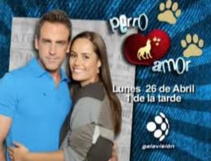 images (85) - Perro amor2010