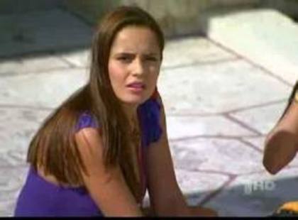 images (93) - Perro amor2010