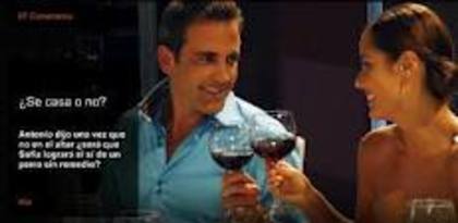 images (49) - Perro amor2010