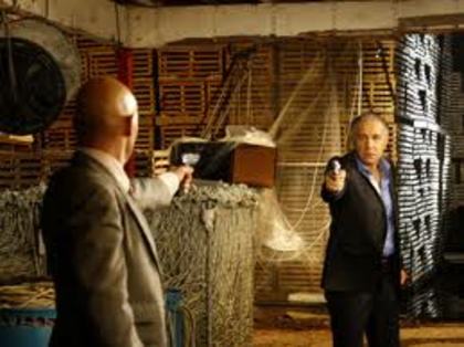 images (57) - Perro amor2010