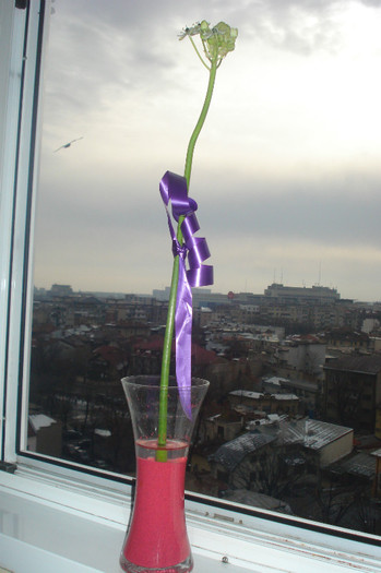 AM UITAT SA INTREB.. - FLORILE MELE -ALBUM2