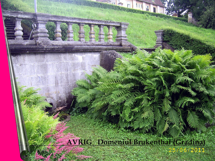 8. Avrig - Domeniul Brukenthal (6) - Fascinanta Romanie - 3