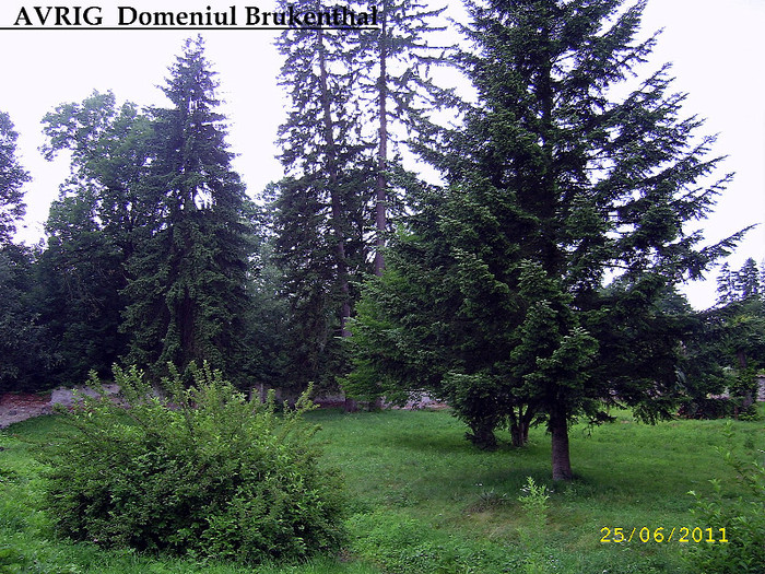 13. Avrig - Domeniul Brukenthal (11) - Fascinanta Romanie - 3