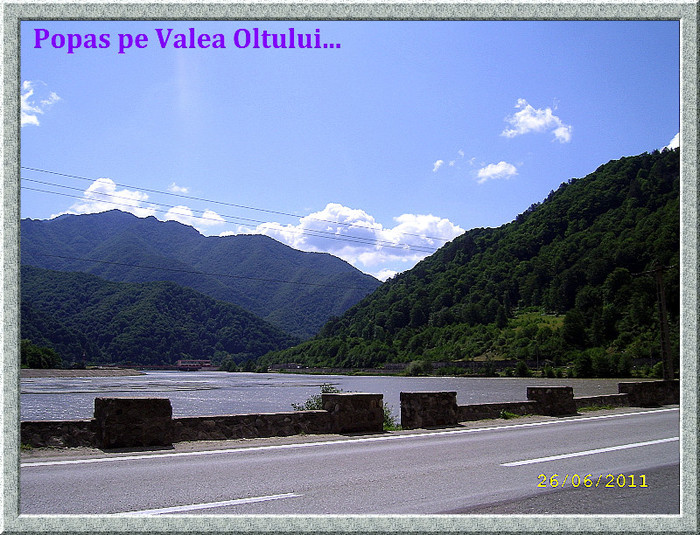 41. Valea Oltului (9)
