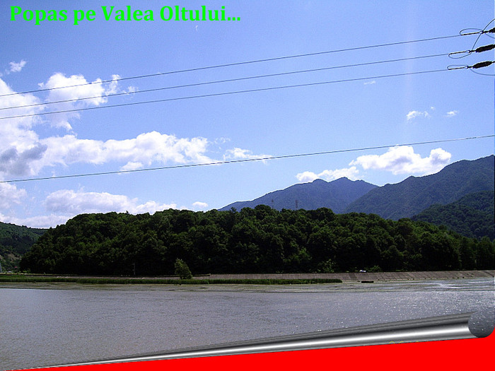 43. Valea Oltului (11)