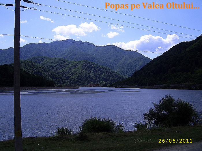 45. Valea Oltului (12)