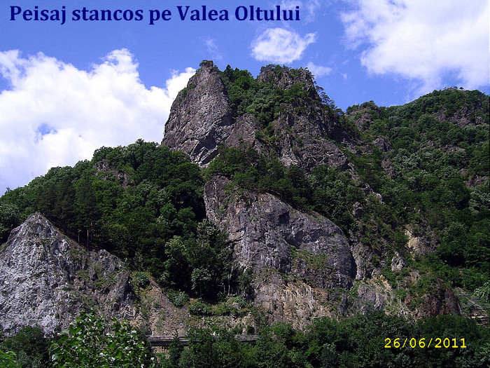 60. Valea Oltului (23)