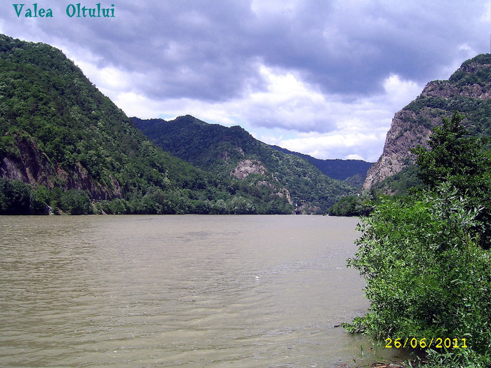 77. Valea Oltului (26)