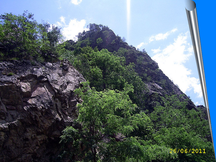 82. Valea Oltului (29)