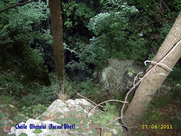 168. Cheile Oltetului (4) - Fascinanta Romanie - 3