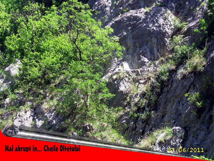 171. Cheile Oltetului (7) - Fascinanta Romanie - 3