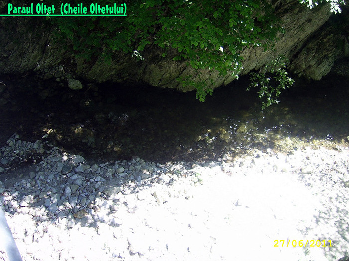178. Cheile Oltetului (14) - Fascinanta Romanie - 3