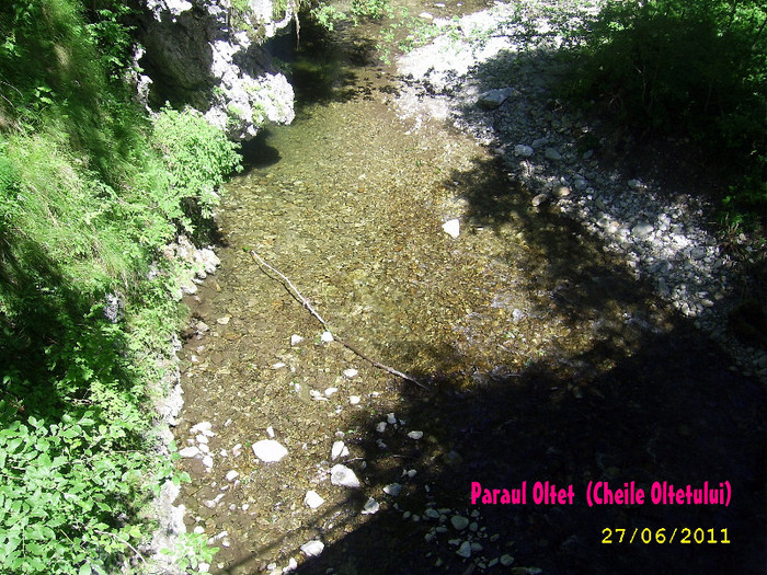 179. Cheile Oltetului (15) - Fascinanta Romanie - 3