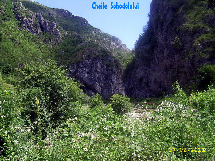 219. Cheile Sohodolului (34) - Fascinanta Romanie - 3