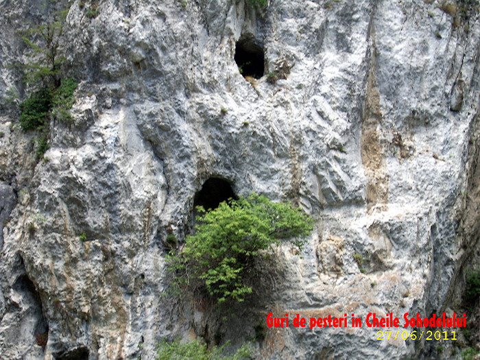 228. Cheile Sohodolului (43) - Fascinanta Romanie - 3