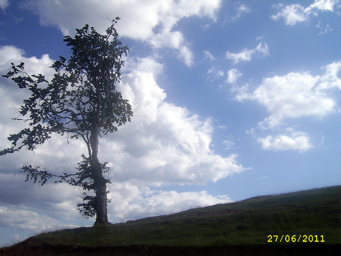 240. Transalpina - Fascinanta Romanie - 3