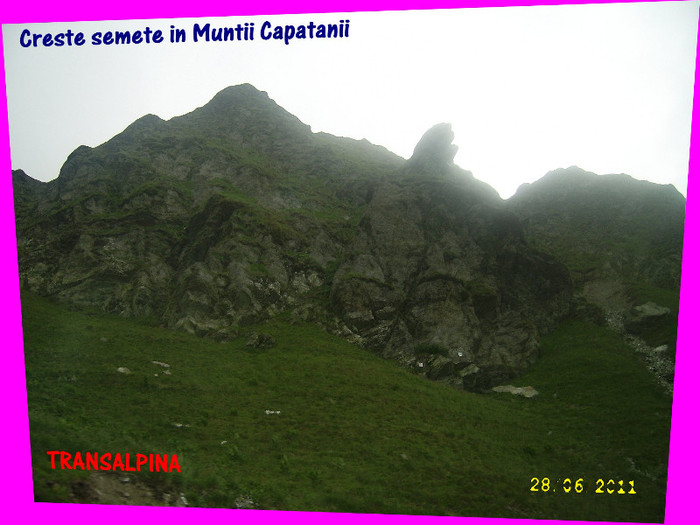 288. Muntii Capatanii (4)(Transalpina) - Fascinanta Romanie - 3
