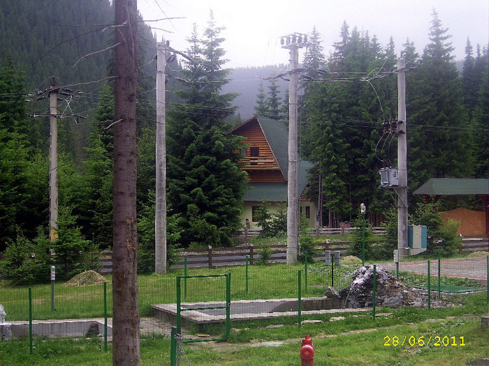 316. Prin imprejurimile Pensiunii ,,Bradul,, - Fascinanta Romanie - 3