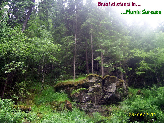 324. Muntii Sureanu (2)(Transalpina) - Fascinanta Romanie - 3