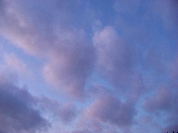 100_4347 - Splendorile cerului 3