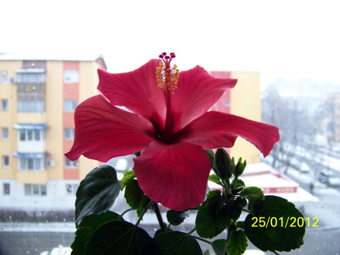 25.01.2012