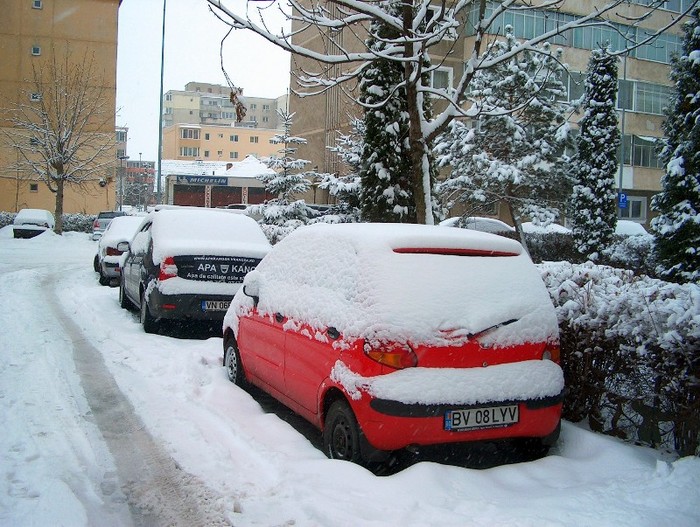 Bubu 25-01-2012