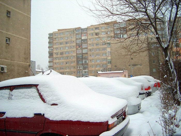 BRASOV 25-01-2012