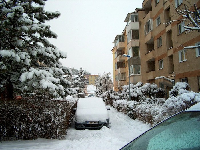 BRASOV 25-01-2012