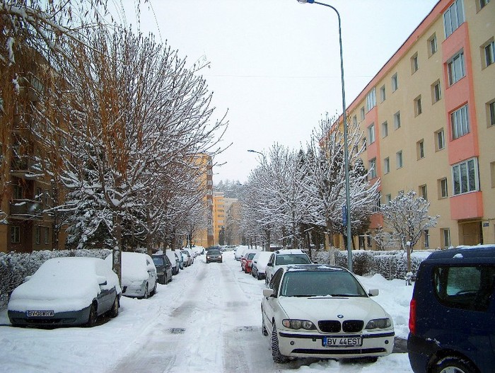 BRASOV 25-01-2012