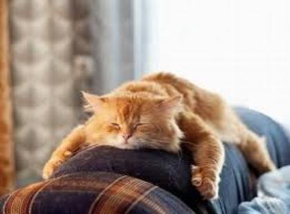 images (28)