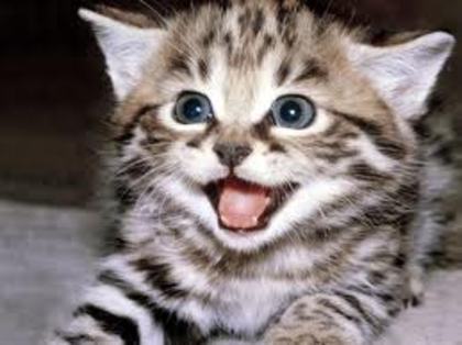 images (29)
