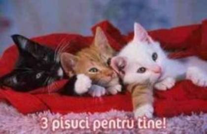 images (36)